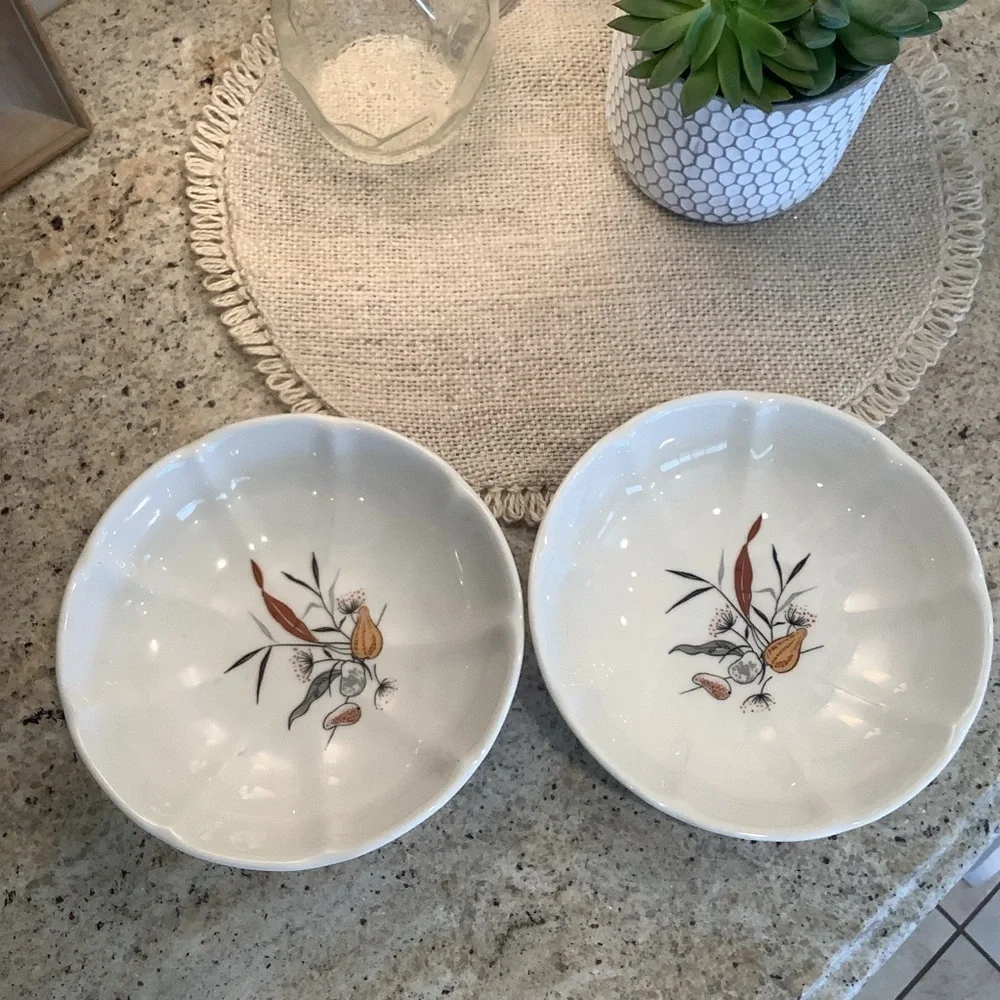 Two Vintage Bowls Wellsville China